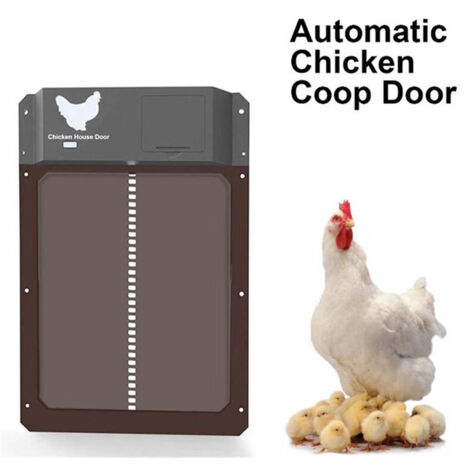 Aiperq – Porte automatique pour poulailler – Volet électrique étanche IPX4 – Système moteur intégré – Ouverture au lever du soleil (1/5)