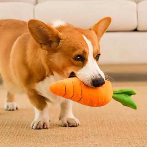 Pet Supplies Knisterndes Hundespielzeug für kleine und mittelgroße Hunde, süße orange Karotte mit weichem Quietscher, karottenförmiges Plüschspielzeug mit Geräuschen, bissfest (Länge 19 cm) (1/5)