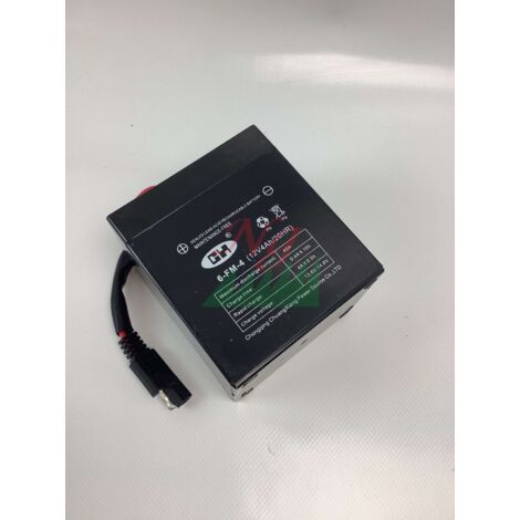 Bater铆a 12v 4,5a CASTELGARDEN - GGP 118120064/0 (1/4)