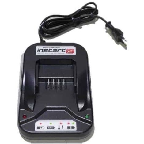 Cargador batería Briggs y Stratton Instart, 593562