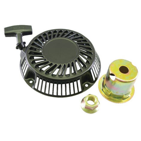 Lanzador Briggs y Stratton - 808153 (1/2)