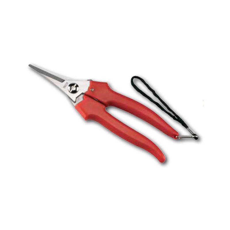 Ausonia FORBICE FORBICI COGLIUVA VENDEMMIA POTA LAME STRETTE 19cm AUSONIA 