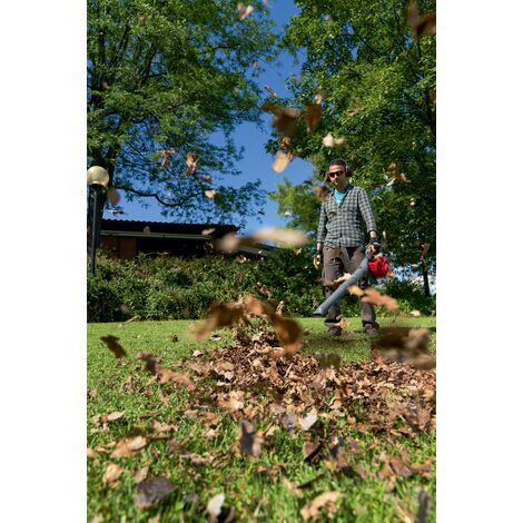 Soffiatore per eliminare le foglie dal giardino: come sceglierlo