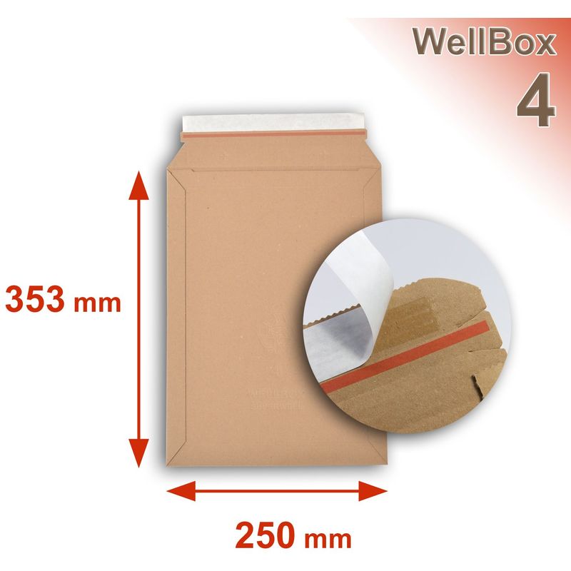 Boite carton - (L)250 x (P)353 x (H)50 mm - blanc
