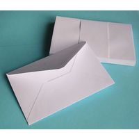 Lot de 25 Enveloppes 90x140 mm spéciales cartes de visite