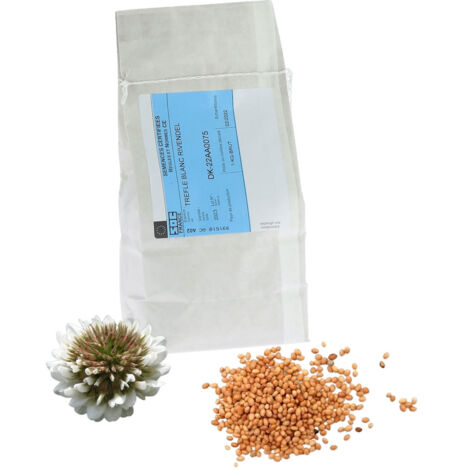Graines de trèfle blanc nain 1kg – Plante mellifère – Floraison d'avril à septembre – Engrais vert fixateur d'azote – Apiculture.Net