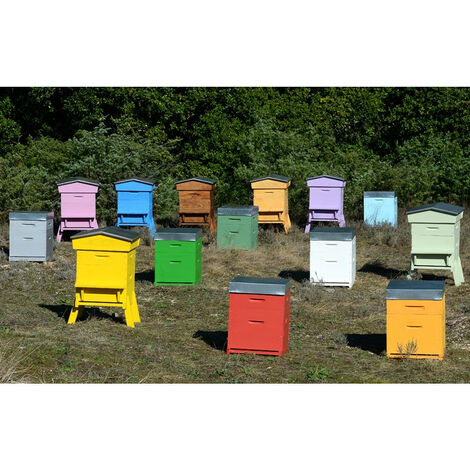 Kit matériel de peinture pour ruches