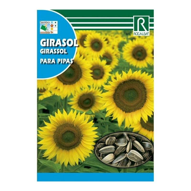 SEMILLAS PIPAS GIRASOL PARA CONSUMO 10 GR.