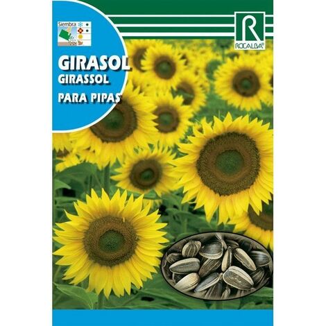 SEMILLAS PIPAS GIRASOL PARA CONSUMO 10 GR.