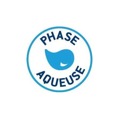 Décapant dégraissant 1L