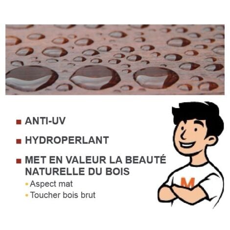 Saturateur bois Blanchon teinte IPE 20L
