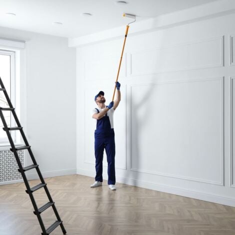 Peinture murs et plafonds 1L Blanc velours