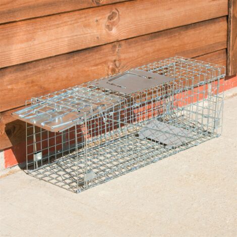 KCT Humane No Kill Squirrel Trap - 2 Pack