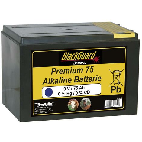 Batterie Premium 75 Alcaline 9 V 75 Ah - petit boîtier BlackGuard