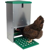 Mangeoire automatique pour poules - 12 kg Feedomatic