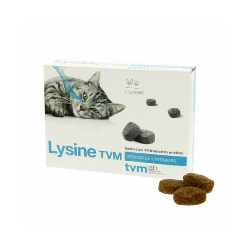 Lysine Tvm Complement Nutritionnel Pour Chat