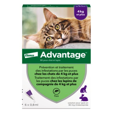 Advantage 80 Anti Puces Pour Chats 4 Kg Boite 6 Pipettes