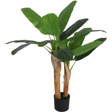 Bambù Della Fortuna A Spirale 30-35 Cm - 5 Steli - Pianta Da Interno Gardeners Dream, Portafortuna Per Casa E Ufficio (Vaso Da Coltivazione Incluso)