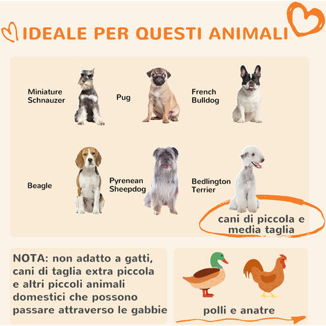 Recinto Per Cani PawHut 122x122x138 Cm - Kennel Esterno Per Cani Piccoli E Medie, Con Tetto - Foto 9