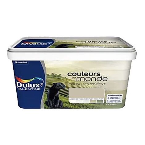 Dulux Valentine – Peinture satinée monocouche 2,5 L – Couleur Terrasses d'Orient – Pour murs et boiseries intérieurs – Application facile (1/2)