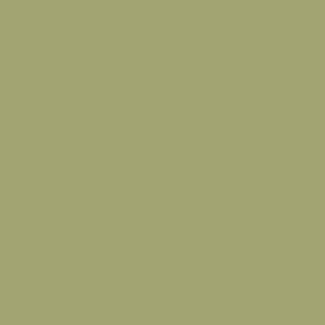 Peinture Aérosol BRAVO NESPOLI - Vert reseda (180016) 0,4 L