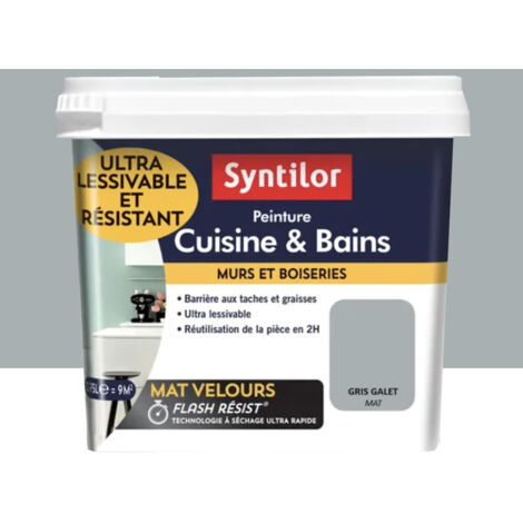 Peinture Cuisine & Bains SYNTILOR Gris galet 0,75 L