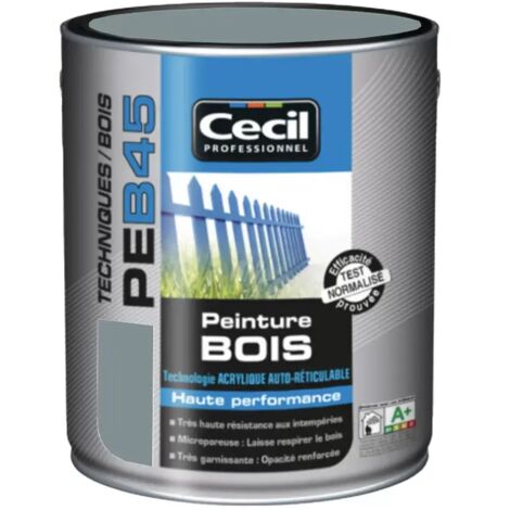Peinture extérieure bois satinée 2,5 L – Gris bleuté – Résine acrylique hydrophobe – Haute résistance UV et intempéries – Cecil - PEB45 (1/3)