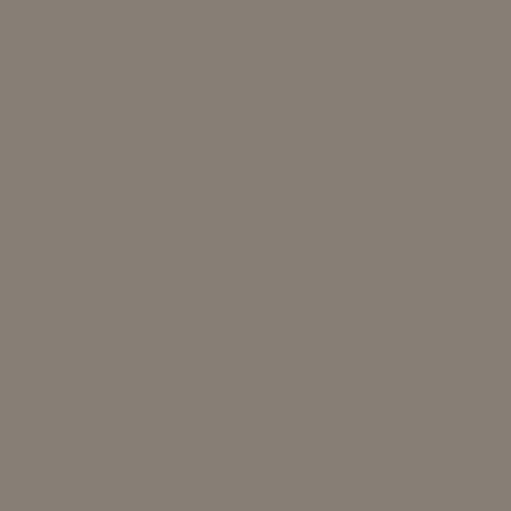 V33 Vernis Meuble Color Bois flotté 1 L