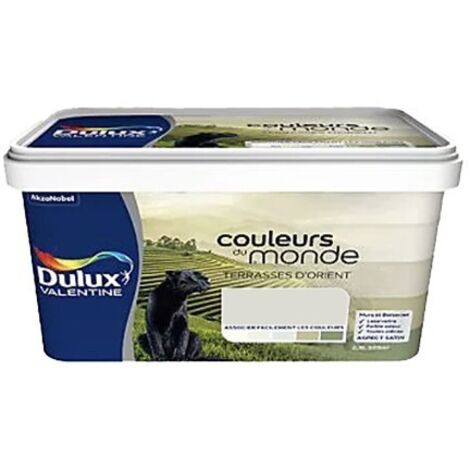 Dulux Valentine – Peinture satinée monocouche Terrasses d'Orient pastel 2,5 L – Pour murs et boiseries intérieurs – Application facile (1/2)
