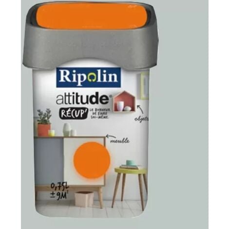 Peinture anti-humidité gris souris satin 2,5 l RIPOLIN by DIP