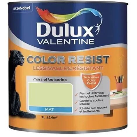 Dulux Valentine Peinture acrylique Color Resist Vert fluorine Mat 1 L