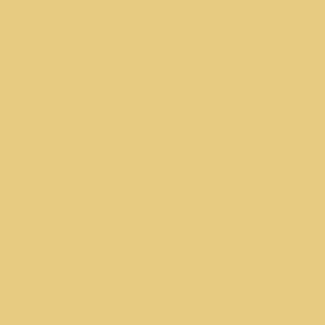 Peinture satinée RIPOLIN Chambre d'enfants Jaune mimosa 0,5 L