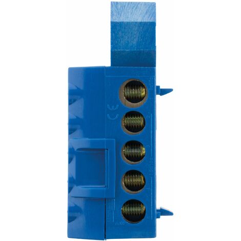Thomson – Bornier neutre bleu 6 connexions – Intensité 100A – Arrivée 25 mm² – Détail connexions 5x 2,5-16mm² et 1x 10-25mm²