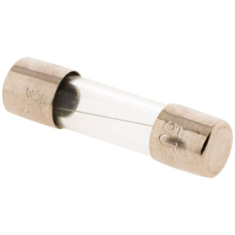 Lot 3 fusibles verre 5x20mm 1A avec voyant - Zenitech