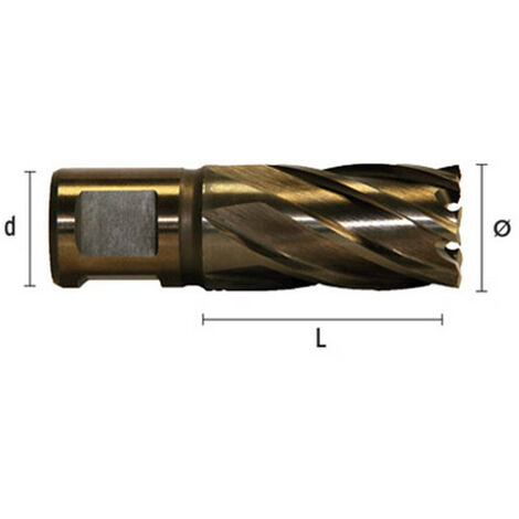Fraise à métaux durs TCT carbure D. 20.0 x Lu. 30 mm x Q. WELDON