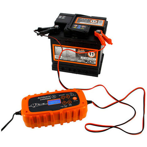Chargeur batterie automatique - pour batteries 6 - 12 V - 15 à 125