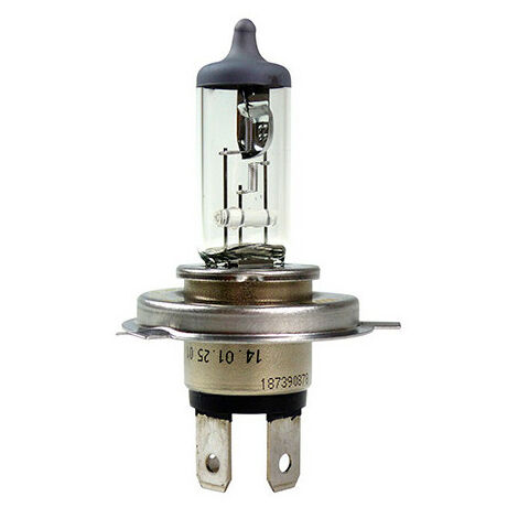 Ampoule Pure Light H4 - 12 V - P43t - 60-55W - Feux de croisement - Feux de  route - Bosch