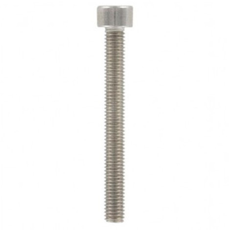 Vis de penture - torx - tête cylindrique large - inox a4 - LES-INOXYDABLES