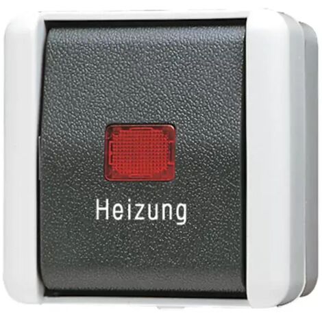 Aufputz-Heizungsnotschalter, 2 pol. Jung 806 W / WG 800 (1/2)