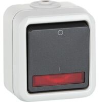 Aufputz-Kontrollschalter PEHA IP44, grau, Ausschalter D622 WAB GLK