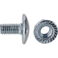 Flachrundschrauben 100 Stück - M6 x 12 mm