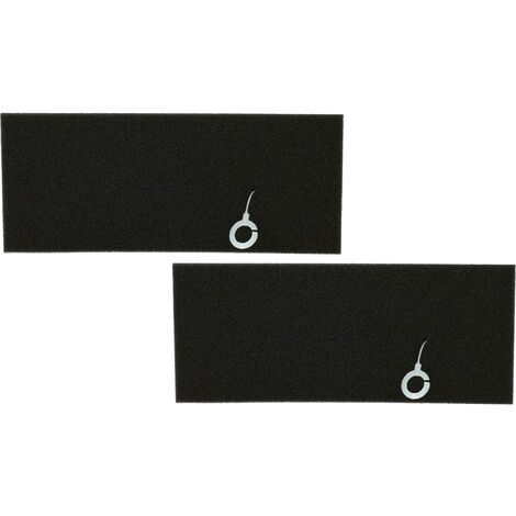 Filtro Motore Adatto per Bosch BSG62580/03 Logo Powermaxx Bag Bagless