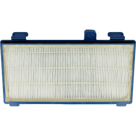 Filtro HEPA per Rowenta X-Trem Power Cyclonic RO6229 RO622711/410 RO6227ea/ 410
