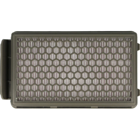 vhbw 1x filtro HEPA, 1x filtro pre-motore compatibile con Rowenta RO3731EA, RO3753EA, RO3786EA, RO3798EA, RO3718EA, RO3724EA aspirapolvere