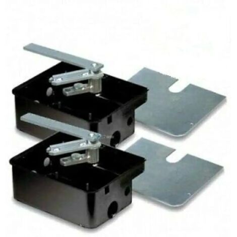 CAME 001U1985 KIT 2PZ Casse di fondazione cancello interrato cataforesi FROG-CFN