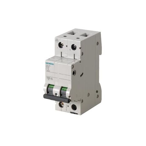 Interruttore Automatico Magnetotermico Siemens 5SL3506-7 6A 1P+N 230V