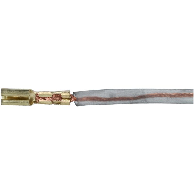 Balais Charbon 5x8x16 Mm Pour Meuleuse D'angle - Remplace Bosch 1607014176 - Lot De 2 Pièces
