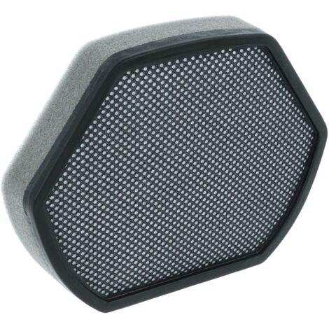 Filtre HEPA Pour AEG Electrolux Et Philips - Compatible AEF12, EFH12, FC8038/01 - Filtration Poussières Fines - 10