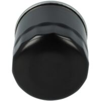 Vhbw Filtro Olio Per Moto Honda – Compatibile Con GL, Goldwing, Hornet F, Ecc. – Ricambio Avvitabile, Altezza 7,4 Cm, Filetto M20x1,5