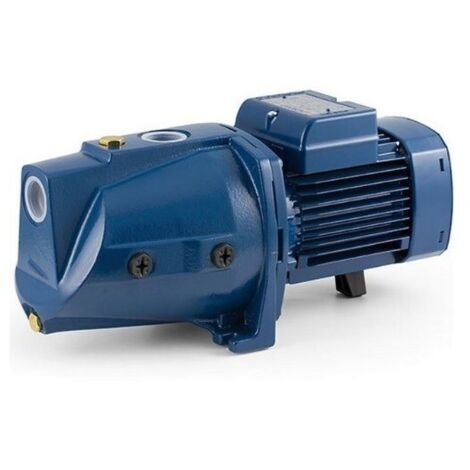 Pompa Pedrollo Autodescante Silenziosa